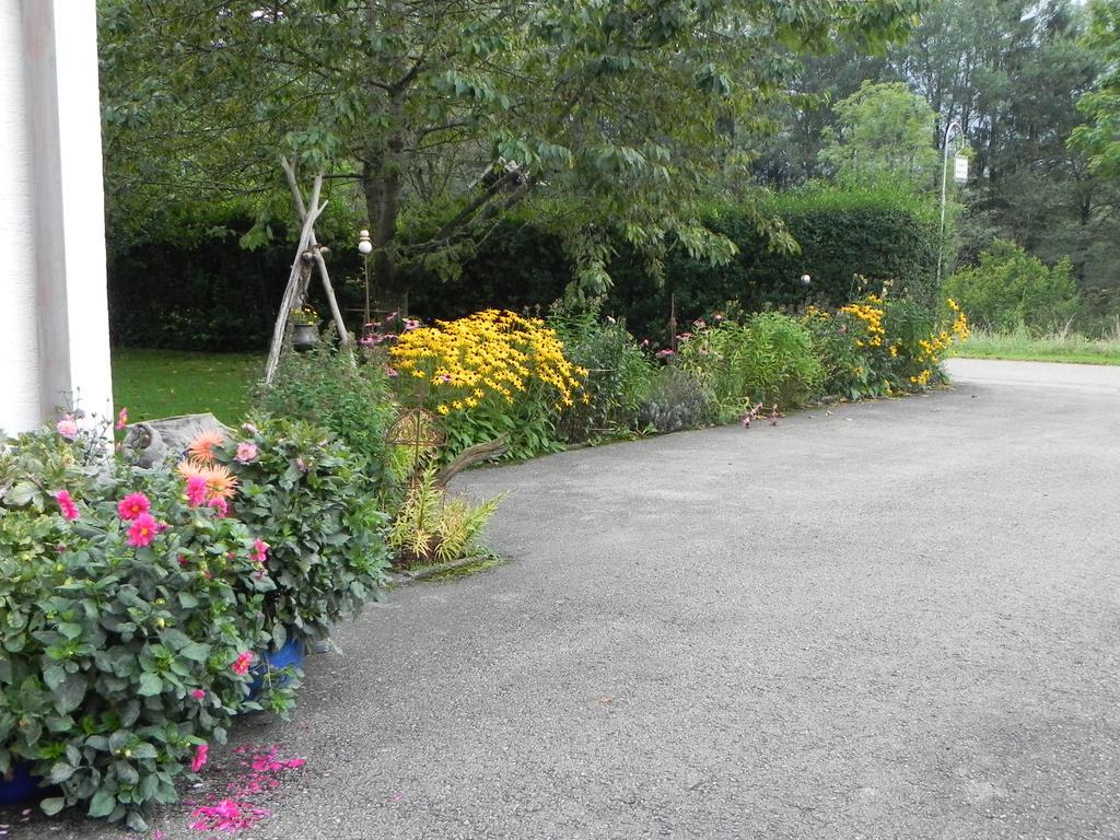 Schautzgy * Reutte