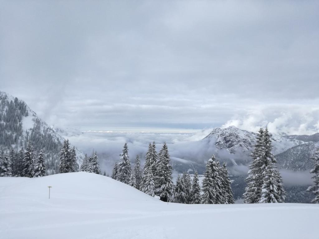 Schautzgy Reutte