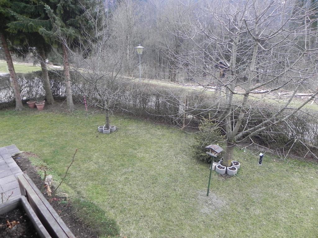 Apartament Schautzgy *
